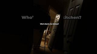 Who’s In The Kitchen 💀 - Silent Still Horror Game