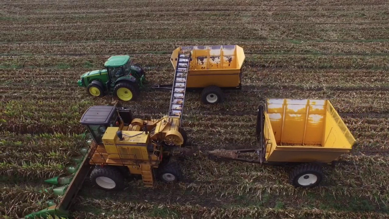 Seed corn harvest prophetstown area