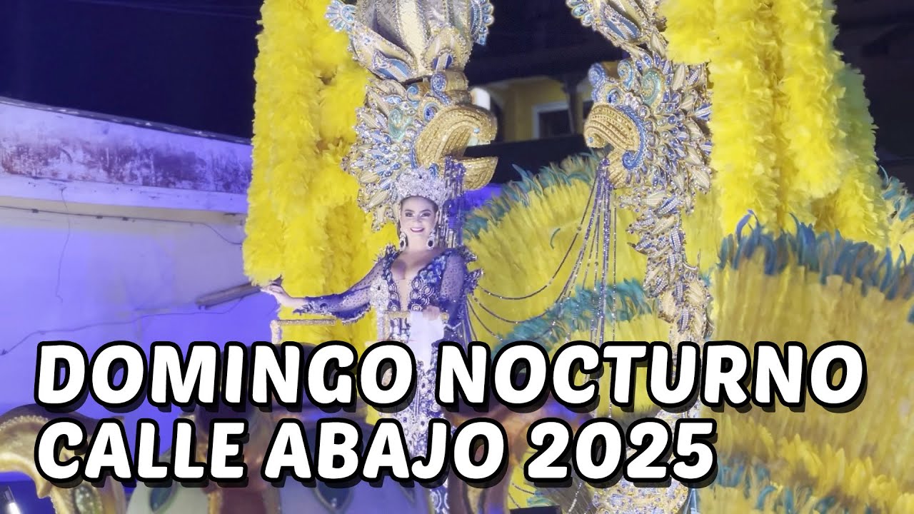 Calle Abajo de Las Tablas 2025 - Domingo Nocturno