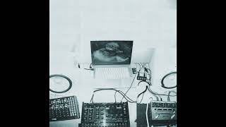 Levi Ryan - slave module