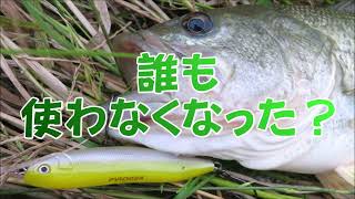 誰も使わなくなった?ペンシルベイトで河川のブラックバスを釣る動画