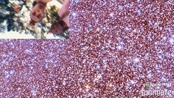 Check out our new intro video ❤️!!!!!!!!! *posting a new video soon*