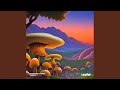 If mushrooms could talk