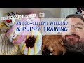 An Egg-cellent weekend, Donuts &amp; Puppy Training | May 7 - 9 Weekend Vlog