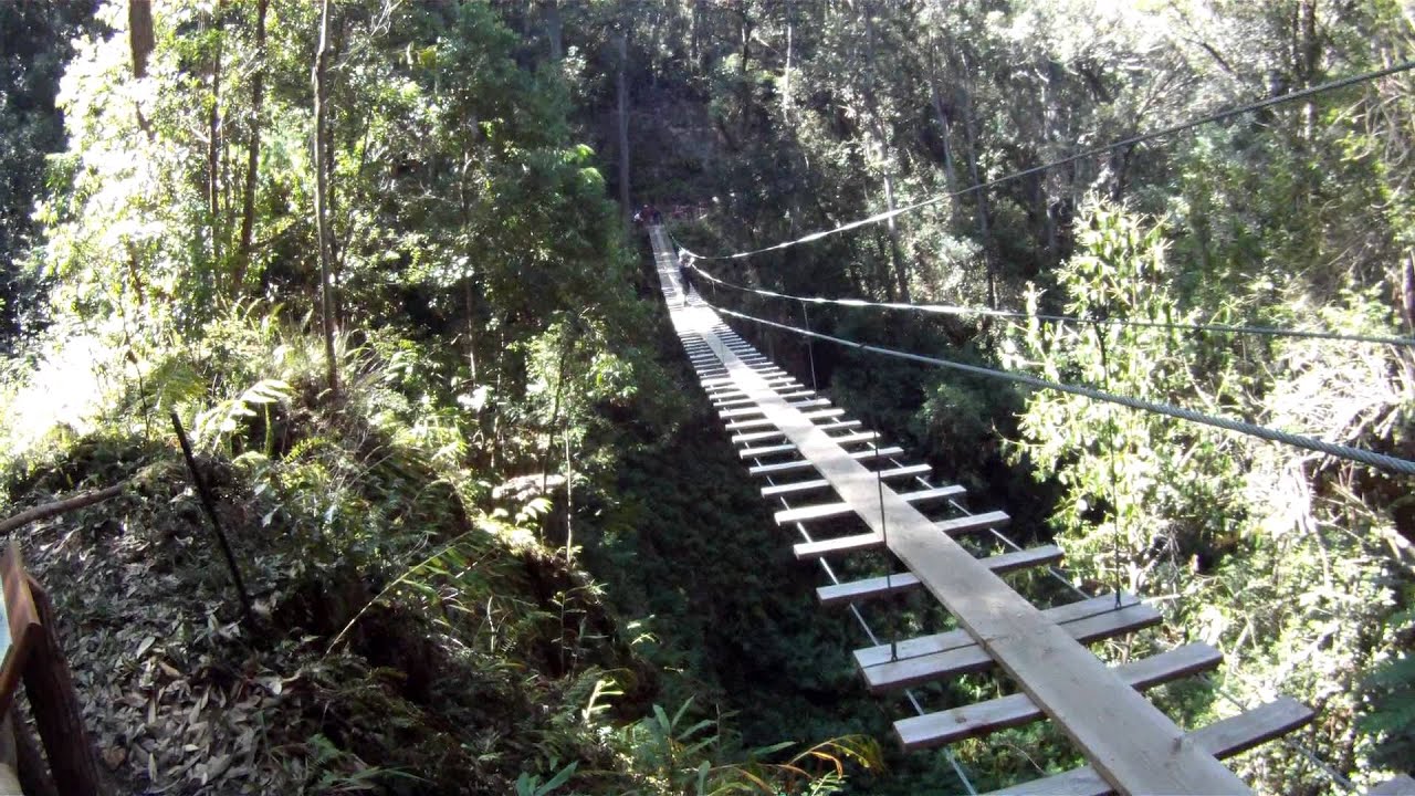BIEA Kohala ZipLine 1031 Suspension Bridge.MP4 YouTube