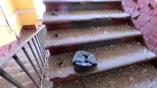 видео: Заброшенная воинская часть Внутренних войск 3256 . ЧАСТЬ - 2. картинка: Заброшенная воинская часть Внутренних войск 3256 . ЧАСТЬ - 2.