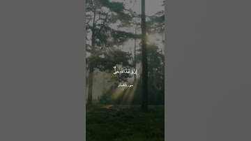 فَلَا تَغُرَّنَّكُمُ الْحَيَاةُ الدُّنْيَا || سورة لقمان || علي جابر