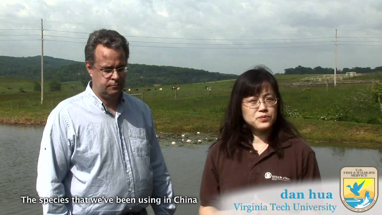 u.s. virgin islands Mussels Abroad: An exchange from America to China
