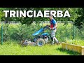 Tagliare l'erba con il MOTOCOLTIVATORE: come usare la trincia