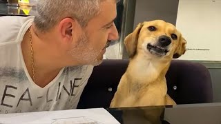 Nothing&#39;s free, man 🤣 Funny Dog and Human