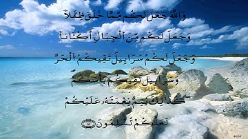 سورة النحل  * قالون * أبو سنينة