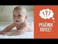 Почему ребёнок потеет