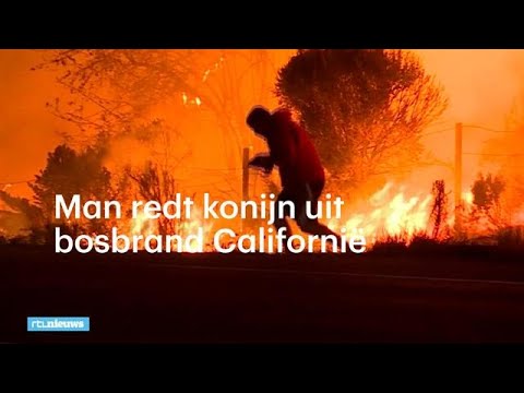 Man redt konijn uit bosbrand Californië - RTL NIEUWS