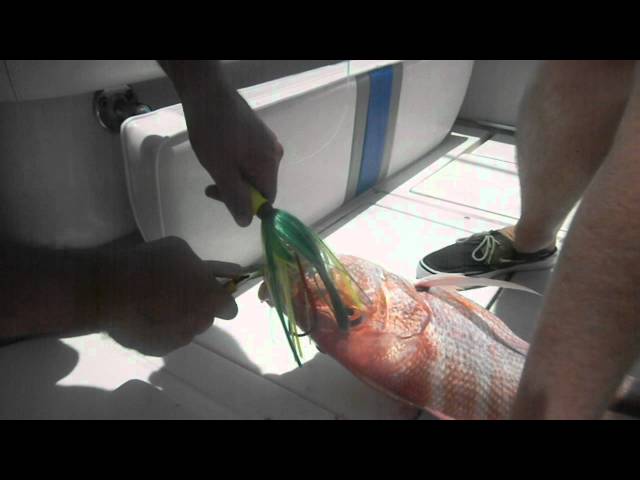 Snapper Slapper Lures Double Sow and Hook change out 