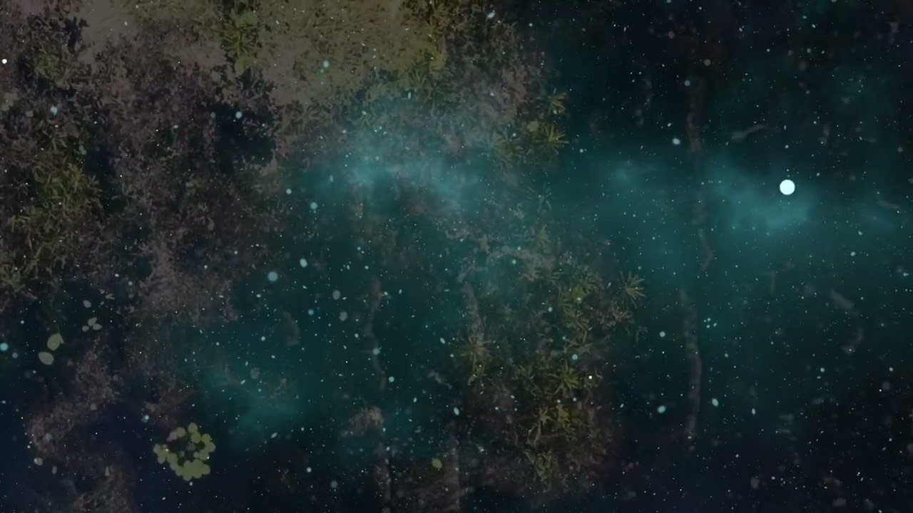Watch be still the earth • imber | peaceful nature ambient on YouTube Watch be still the earth • imber | peaceful nature ambient on YouTube