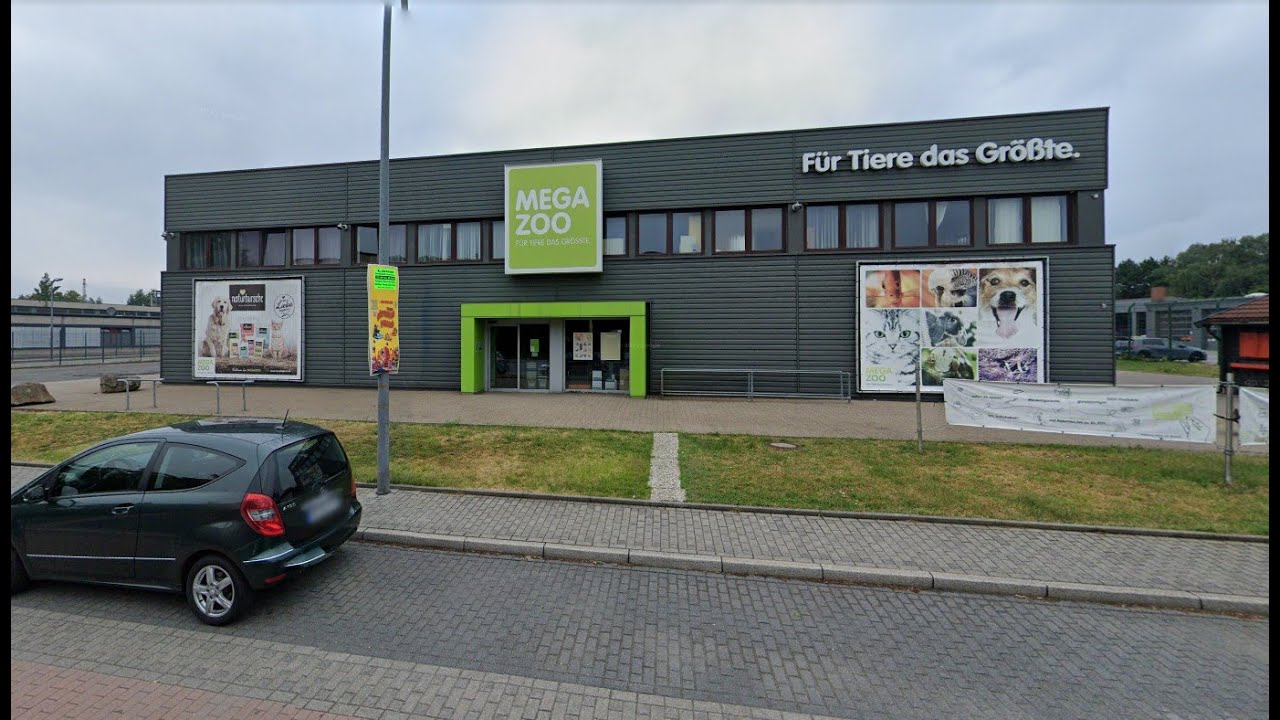 Auf der Suche nach den Koi Skalaren - Teil 2 - Mega Zoo Lünen - Happy End