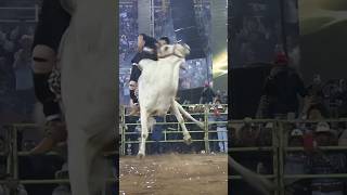 RAYITO DE LA TENENCIA VS BERLÍN #toros #montasdetoros #mexico #banda #torospopulares