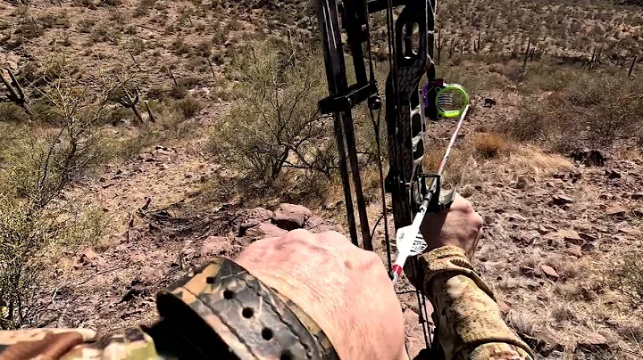 Arizona 2025 Archery Javelina Spot and Stock