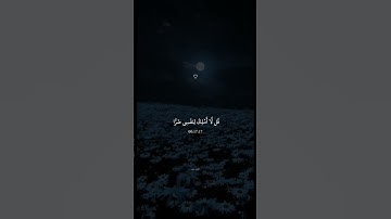 قُل لَّا أَمْلِكُ لِنَفْسِي ضَرًّا وَلَا نَفْعًا  القارئ عبد الرحمن مسعد