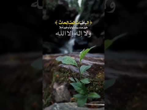 اربع كلمات احفظها مثل اسمك نجاتك في الدنيا والآخرة