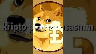 9 Yıldır Uyuyan Dogecoin Cüzdanı Uyandı Doge Transferleri Büyüyor