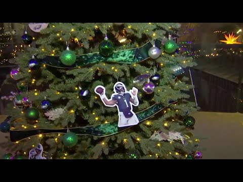Video preview