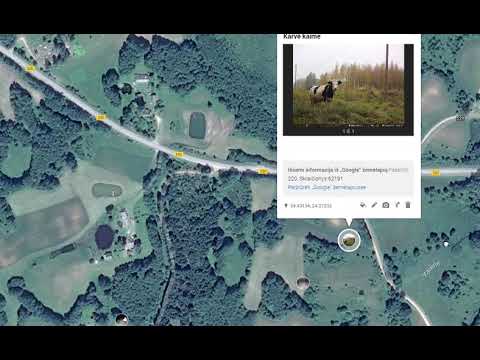 Vaizdo įrašo miniatiūra