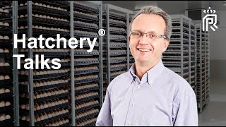 Hatchery Talks - 3 tips to minimize the impact of prolonged hatching egg storage