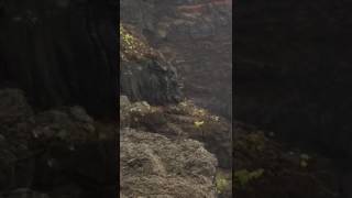 120310 GES rescata el cuerpo sin vida de una persona en El Hierro