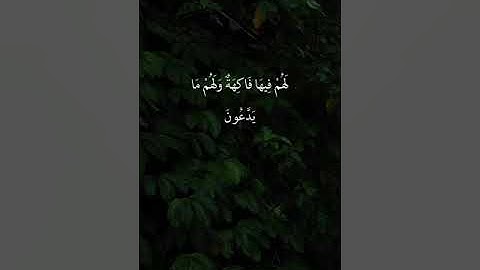 القارئ سالم الرويلي - سورة يس | مقاطع قرآن قصيرة وحالات واتس إسلامية 🌱