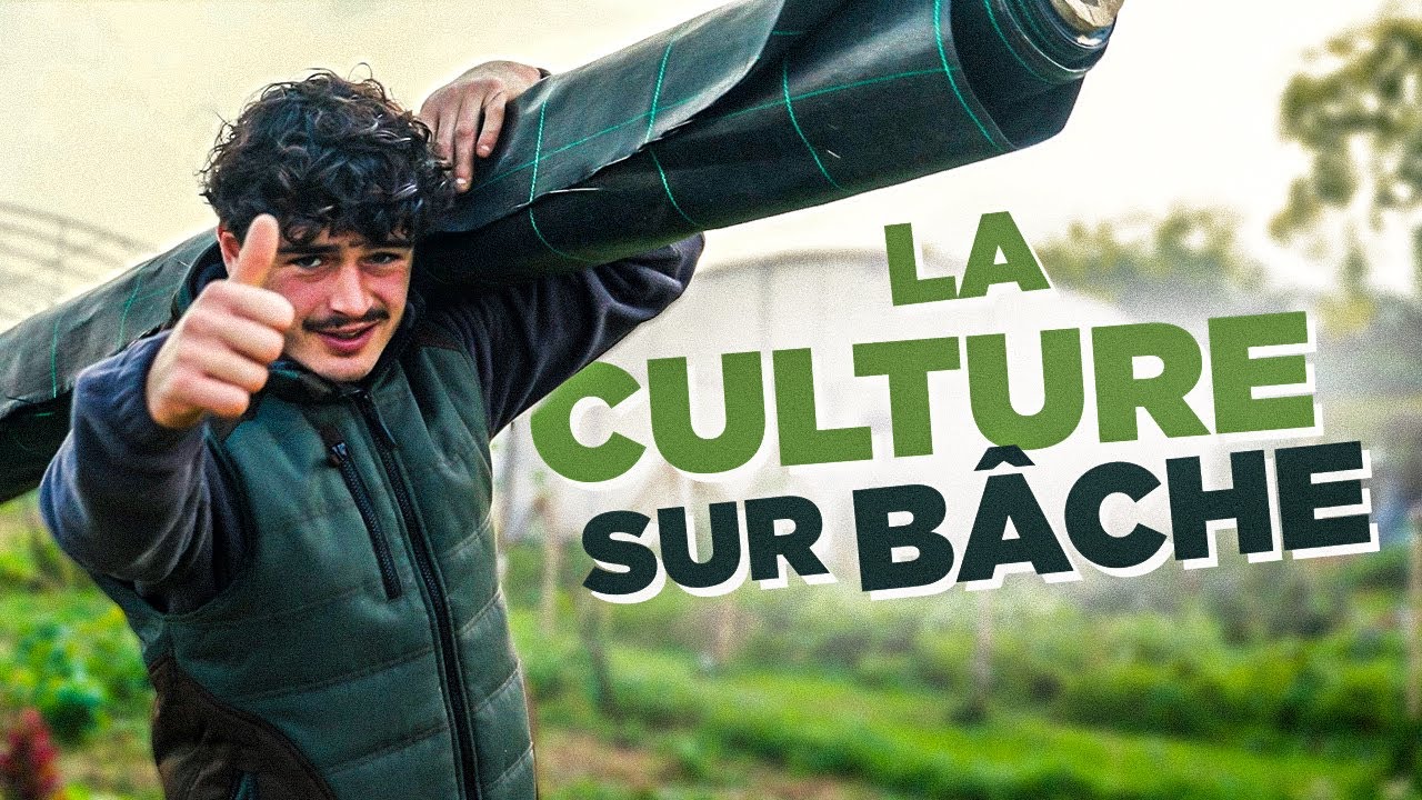 J'ai testé la CULTURE SUR BÂCHE !