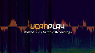 Roland R07 Sdanle Recordings