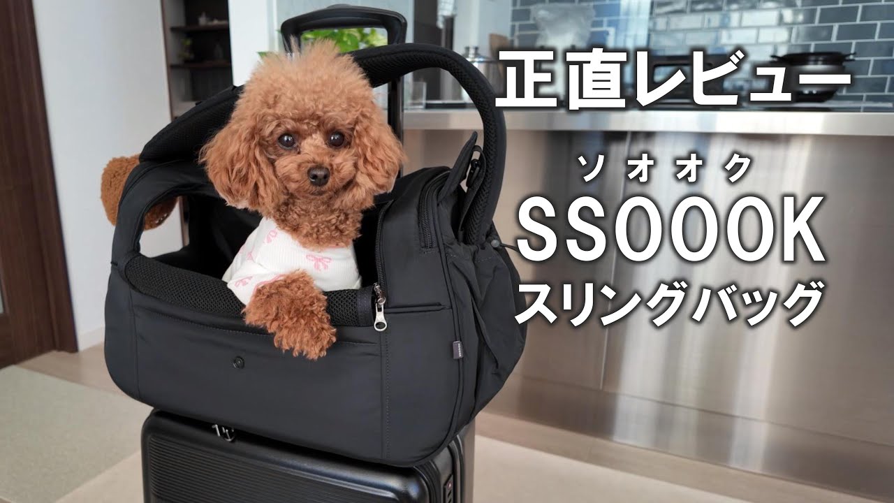 25 【 正直レビュー 】韓国発！SSOOOKのスリングバッグを使ってみた