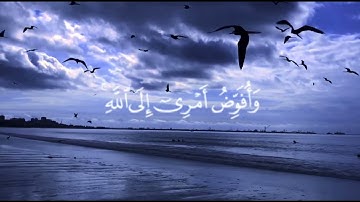 سورة غافر خالد الجليل  آيه ( 44 )