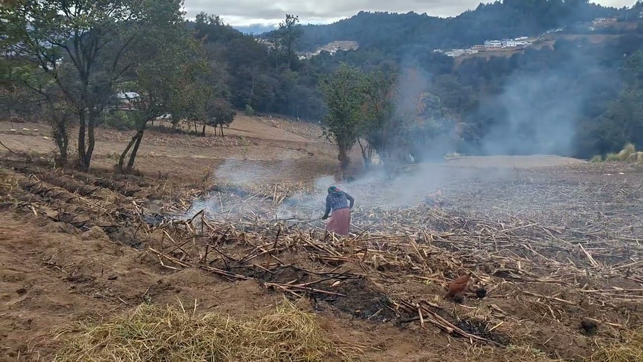 Preparando ya la Tierra |pt.1. para la próxima siembra |del 2026| en mi área donde vivo|