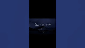 وَمَا قَدَرُوا اللَّهَ حَقَّ قَدْرِهِ | سورة الزمر | ماهر المعيقلي #ماهر_المعيقلي