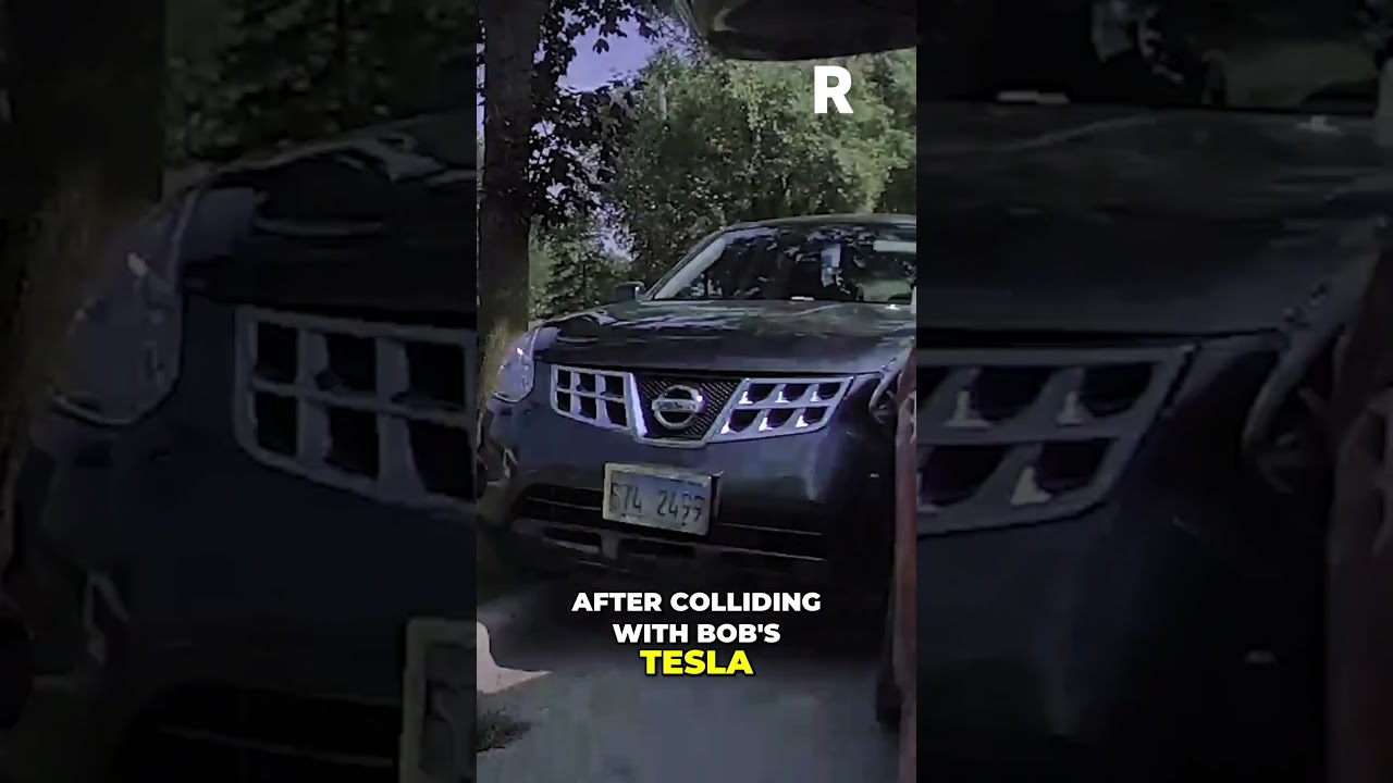 Fox Crossing Causes Tesla Accident! Should You Stop?