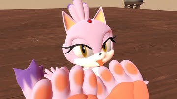 Blaze the Cat Doing Fun Stuff[SFM sonic animation]