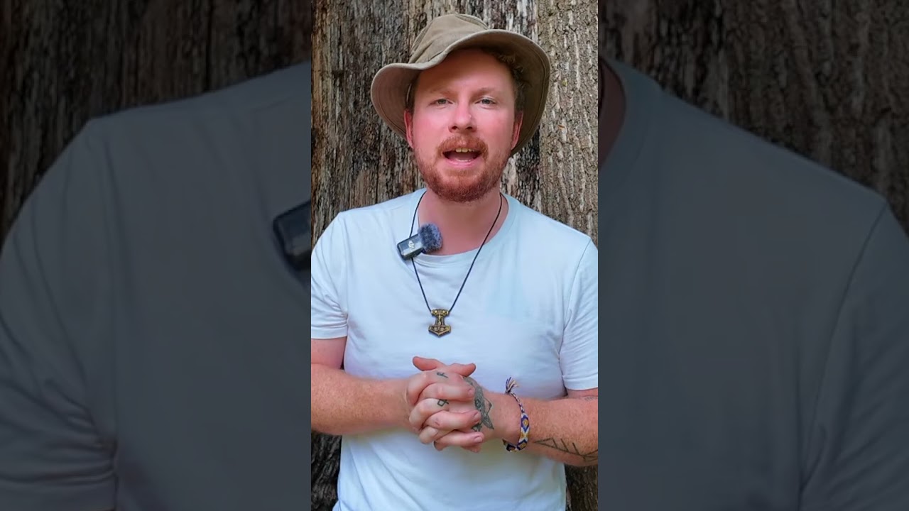 Why Be a Norse Pagan? 