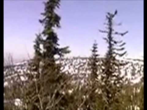 Yeti or Bigfoot filmed in Siberia, Russia?
