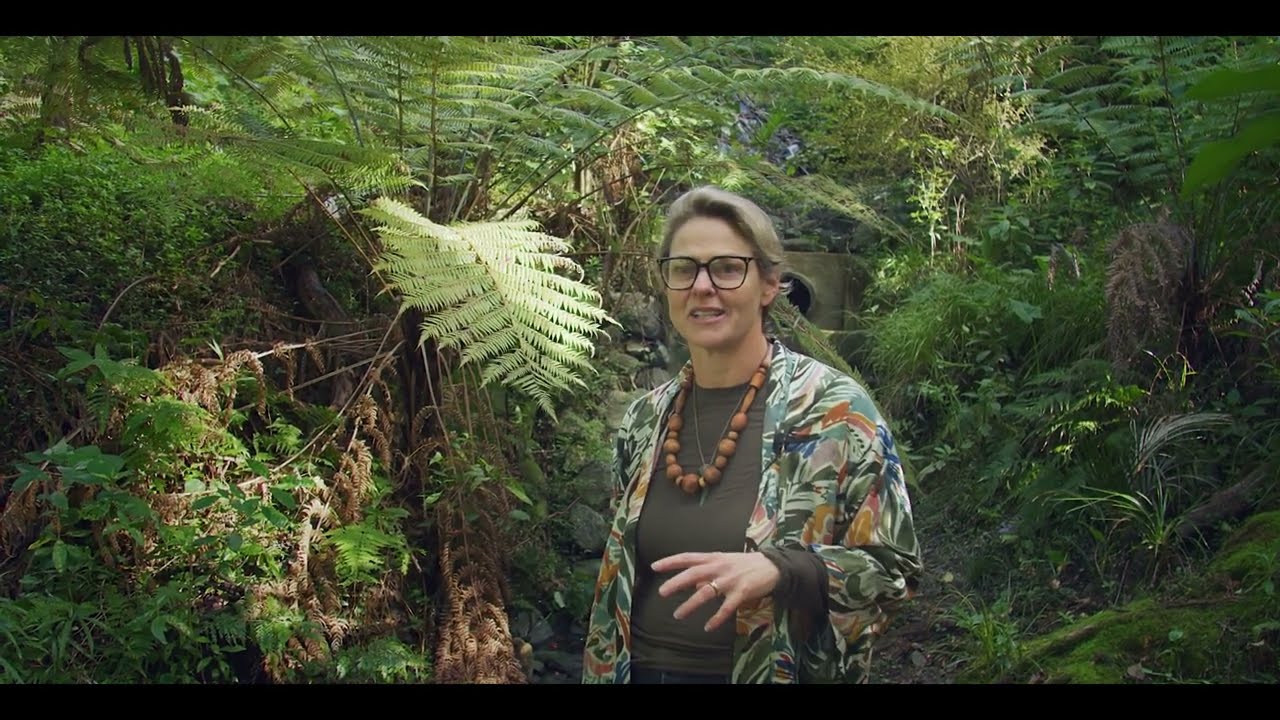 Urban Nature Based Solutions in Oceania