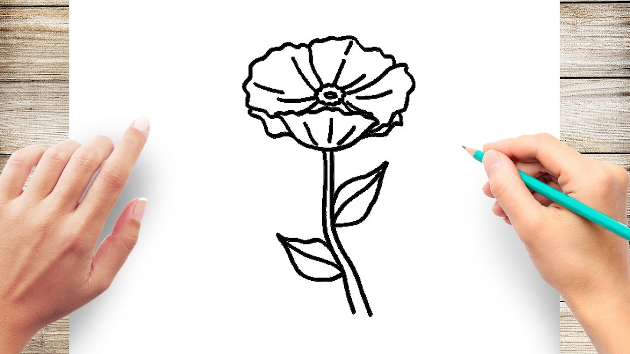 How To Draw A Poppy Flower Step By Step