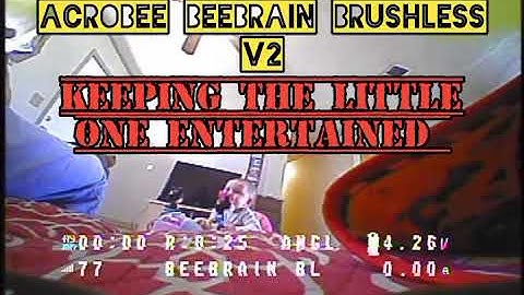 acrobee beebrain brushless v2