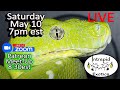 Saturday Night Livestream