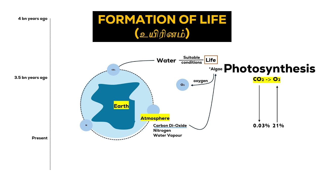 Life Formation Formation of Life and Atmosphere (தமிழ்) | Geography in Tamil ...