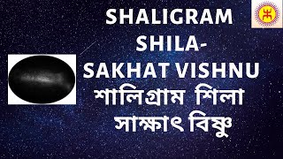What is Shaligram Shila | Shaligram Shila Puja | শালিগ্রাম  শিলা