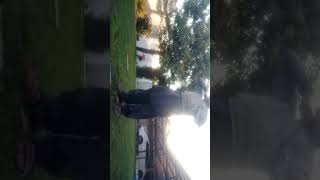 If You Dont Subcribe I Wil Kill My Friend