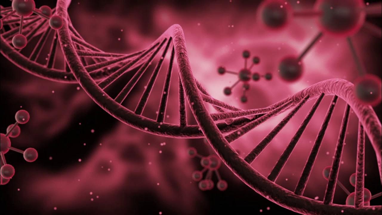 528Hz | Regeneración completa del cuerpo - Curación completa del cuerpo - Cura Física y Emocional 528Hz | Regeneración completa del cuerpo - Curación completa del cuerpo - Cura Física y Emocional