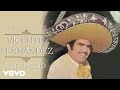 Vicente fernndez  el remedio cover audio