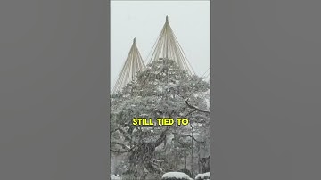 The Village That Vanished Without a Trace!